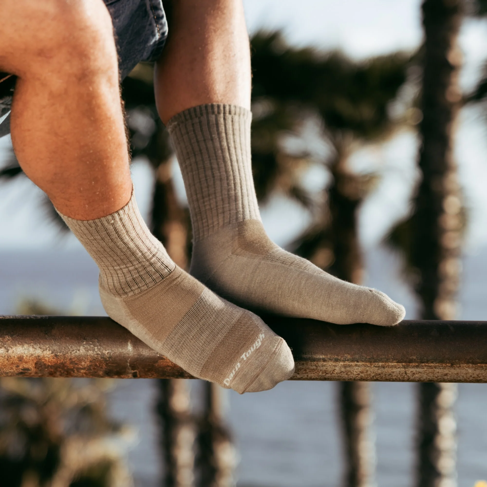 Men's The Standard Crew Cushioned Lightweight Lifestyle Socks - Image 10